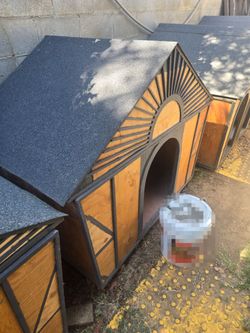 Large dog house