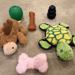 Dog Toys (Kong Plush Squeaky, Kong Rubber, Silicone Feeder Ball, Chewy Bone)