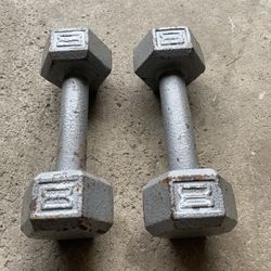 8lb Set Hex Dumbell 