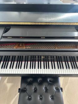 Free Model S Steinway & Sons Grand Piano Black Ebony