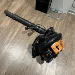 Echo Leaf Blower
