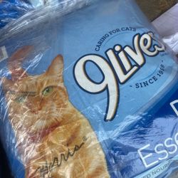 Cat Food Discount 