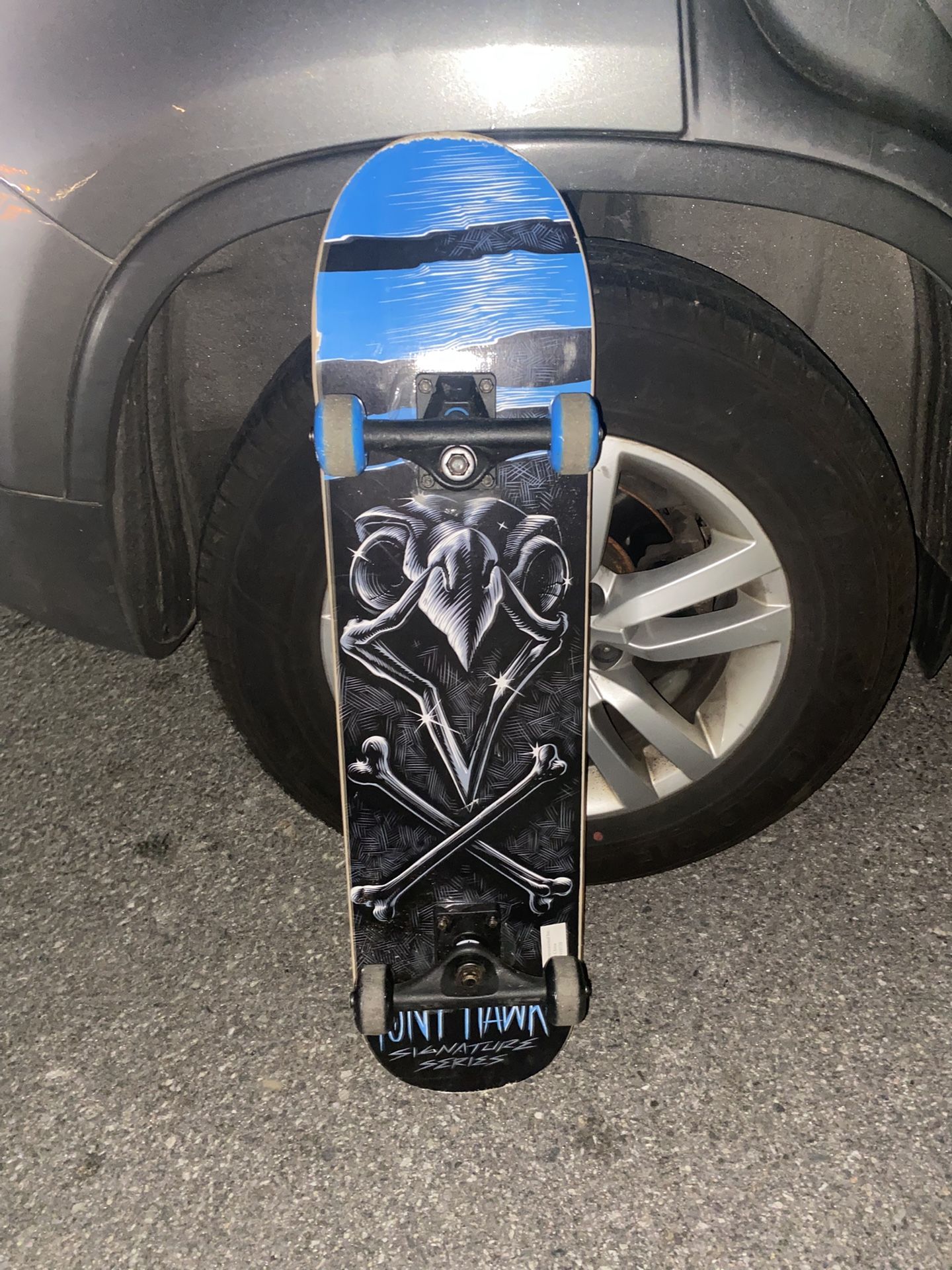 Tony Hawk Skateboard 
