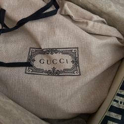 Gucci Purse Medium Size Crossbody Authentic 