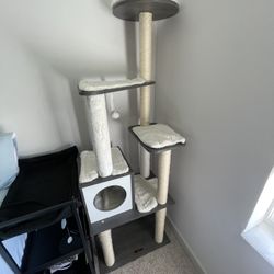 Brand New Cat Tree