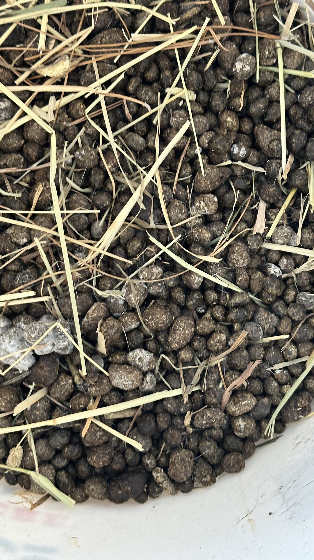 Rabbit Manure for Sale in Chandler, AZ OfferUp