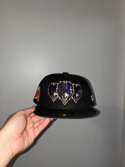 John Geiger Misplaced series NFL Baltimore Ravens