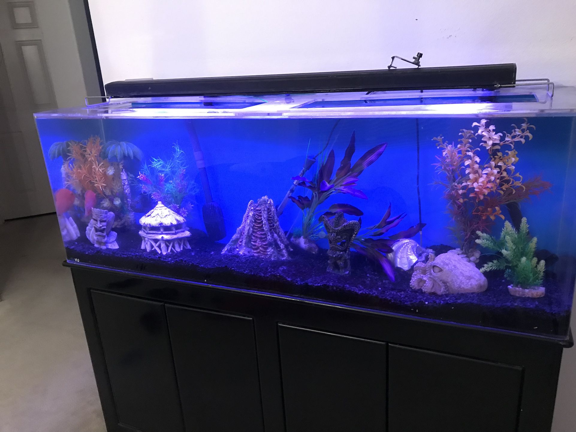 Custom Fish Tank Background for Sale in Victorville, CA - OfferUp