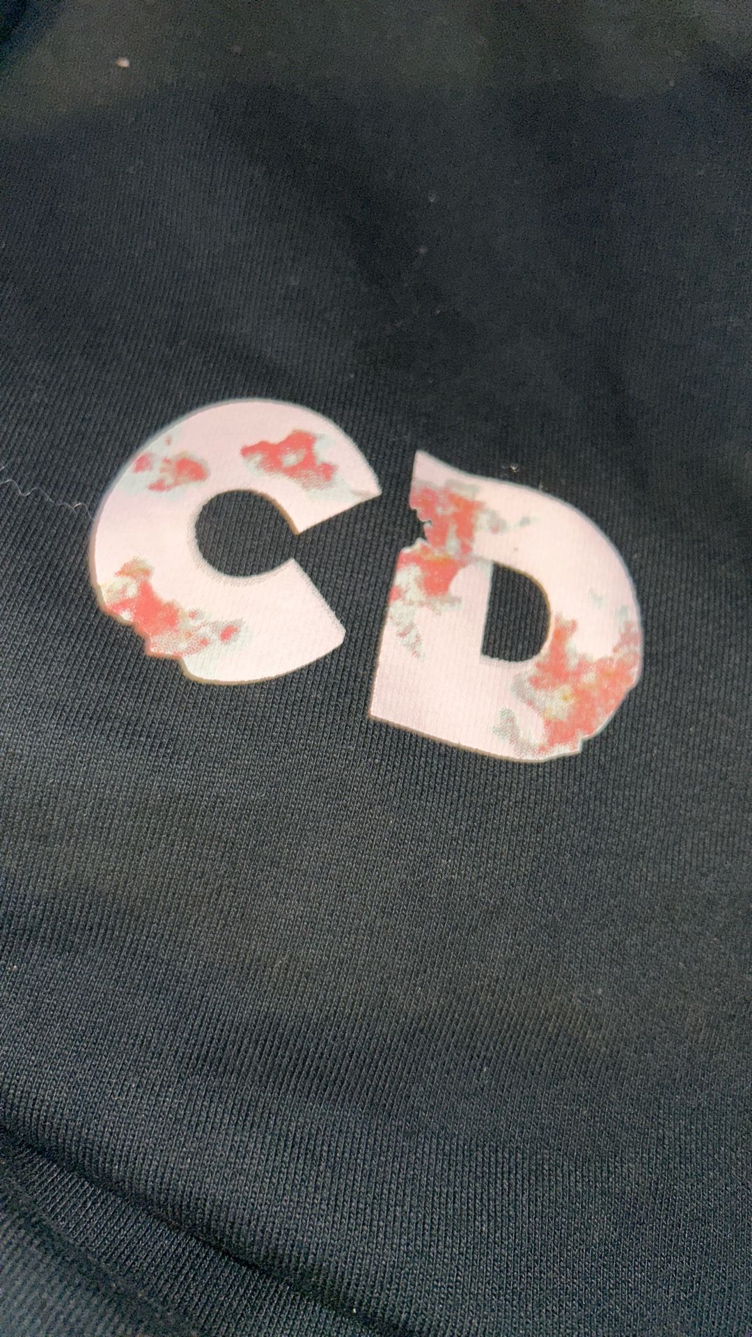 Dior x Daniel Arsham Hoodie