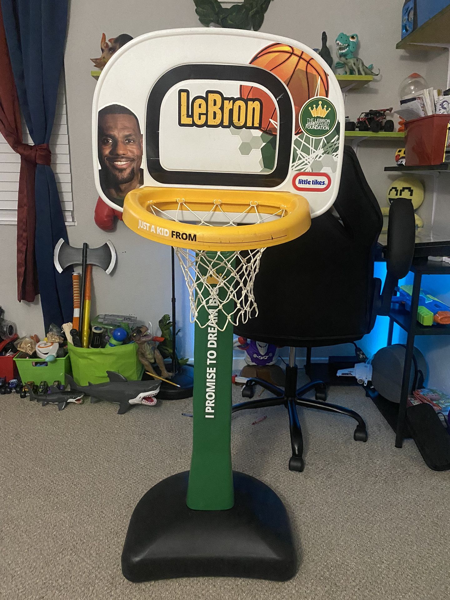 Lebron James Basketball Hoop Rim