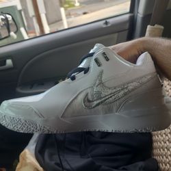 Size 10.5 Nike LeBrons