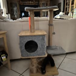 Cat Condo