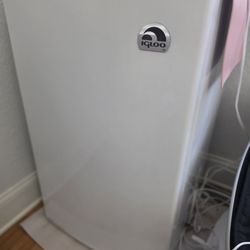 Igloo mini fridge 