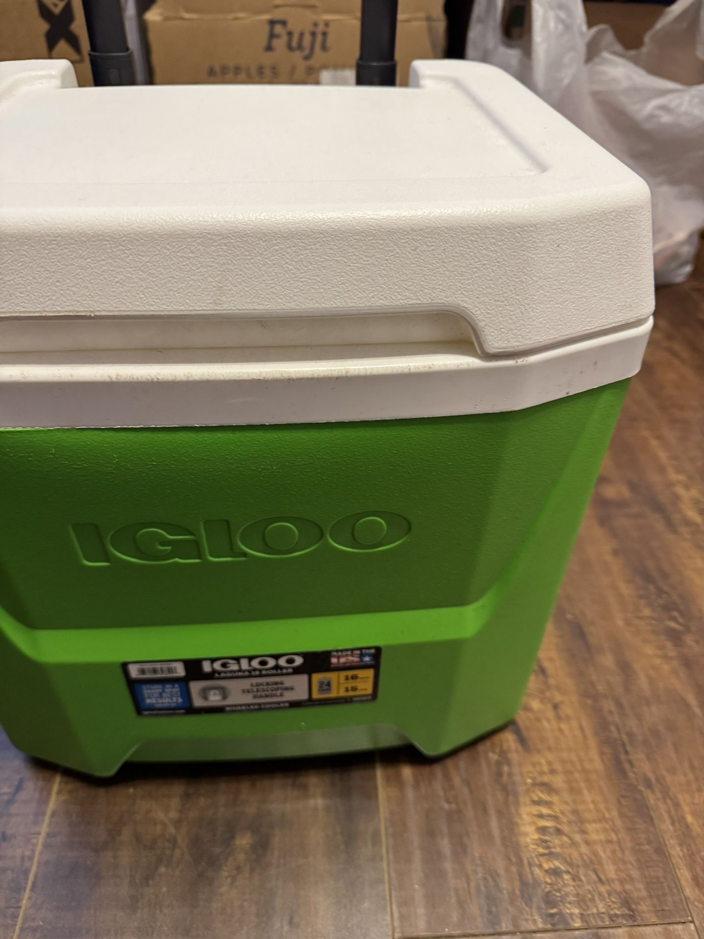 Mini IGLOO ice chest 