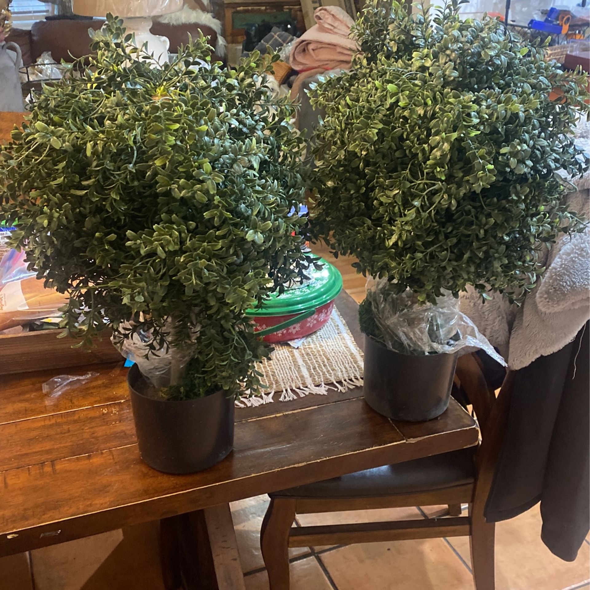 Two Artificial plant brand New