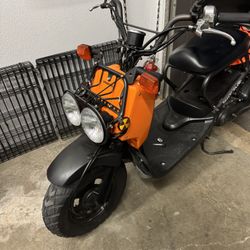 2006 Honda Ruckus