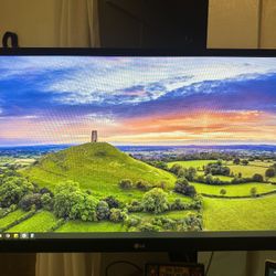 LG 24in Monitor 