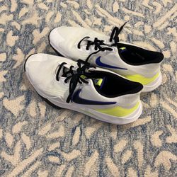 Nike Shoes (size 12) 