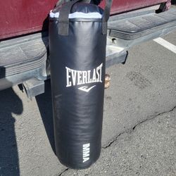 Everlast Heavyweight Punching Bag