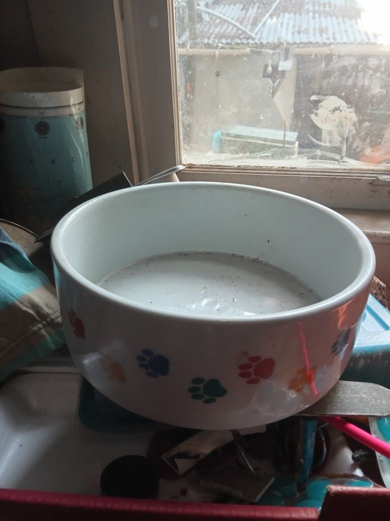 Glass Porcelain Food Dog Bowl Or Water Bowl