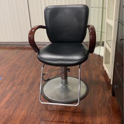 Salon Chair