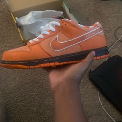 Nike Sb Orange Lobster