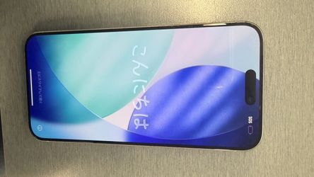 iPhone 15 Pro Max 256G