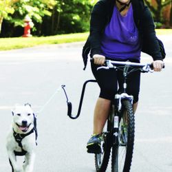 Hands Free Bicycle Dog Exerciser