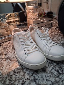 Sneakers Gucci