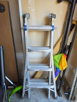 Werner Ladder 18'
