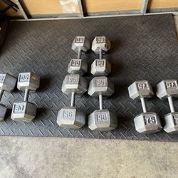 Dumbbell Weights