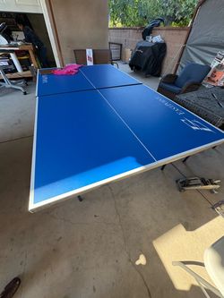 Ping Pong Table