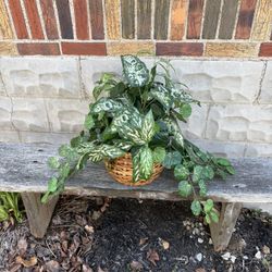 Artificial houseplant in basket 