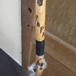 Hiking Sticks