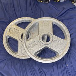 25lb 2 Inch Hole weight plates 