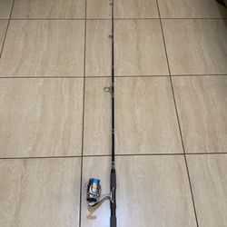 Spinning Rod And Reel