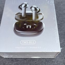 Translator Earbuds