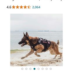 Tactical Dog Harness XL 