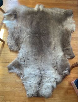 Authentic Luxurious Fur Pelt (set dressing piece)