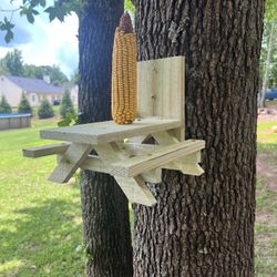 Squirrel Feeder