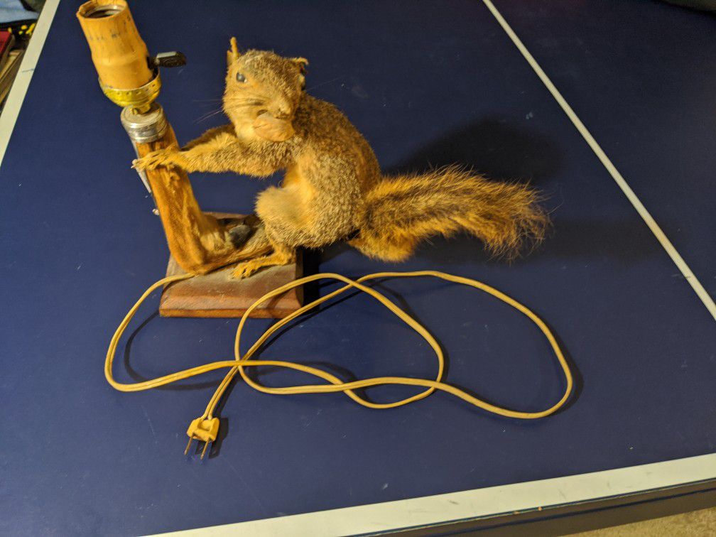 Antique Handmade Squirrel & Deer Taxidermy Lamp Folk Art READ