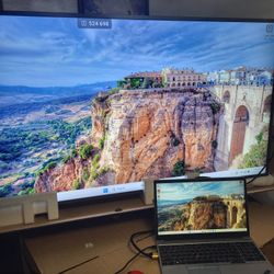 Multimedia Display 65"