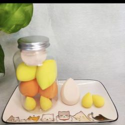 Makeup Sponge