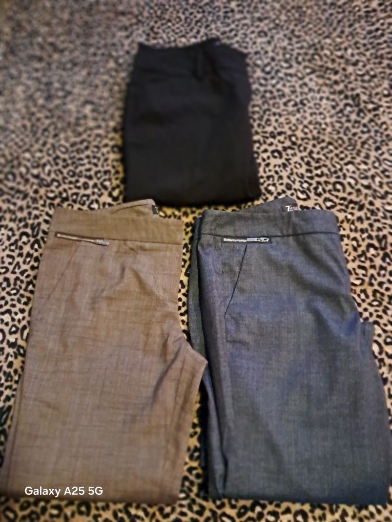 7th Avenue Dress Pants Bundle