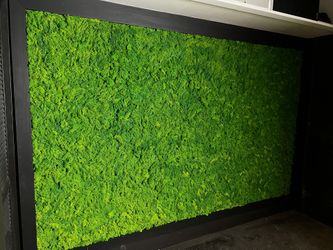 Live Wall Green Wall Moss Wall