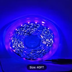 40ft LED Black Strip Light