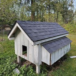 Chicken Coop