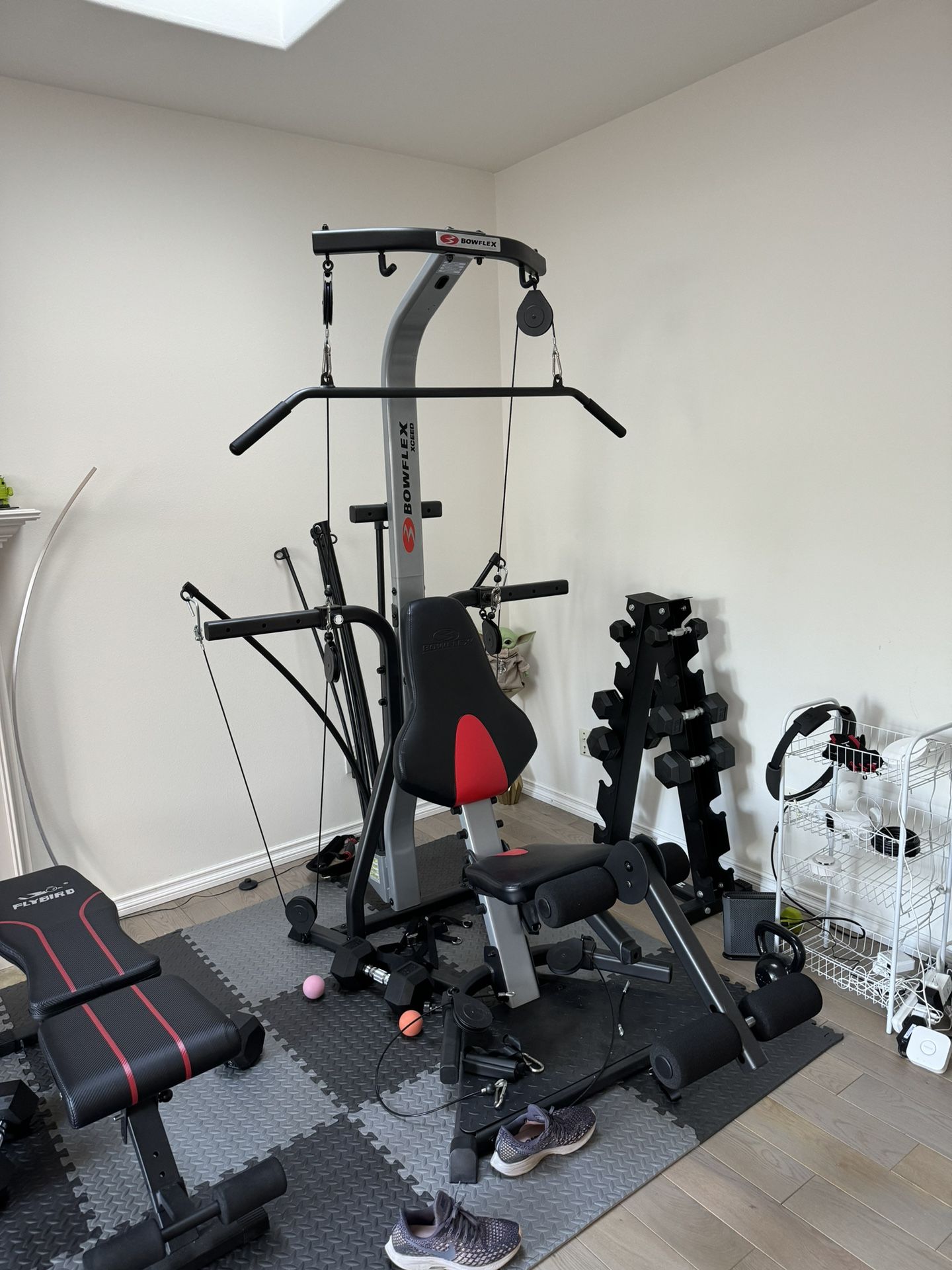 Bowflex Xceed Home gym
