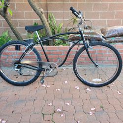 Schwinn 5 speed cruiser