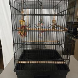 Bird Cage
